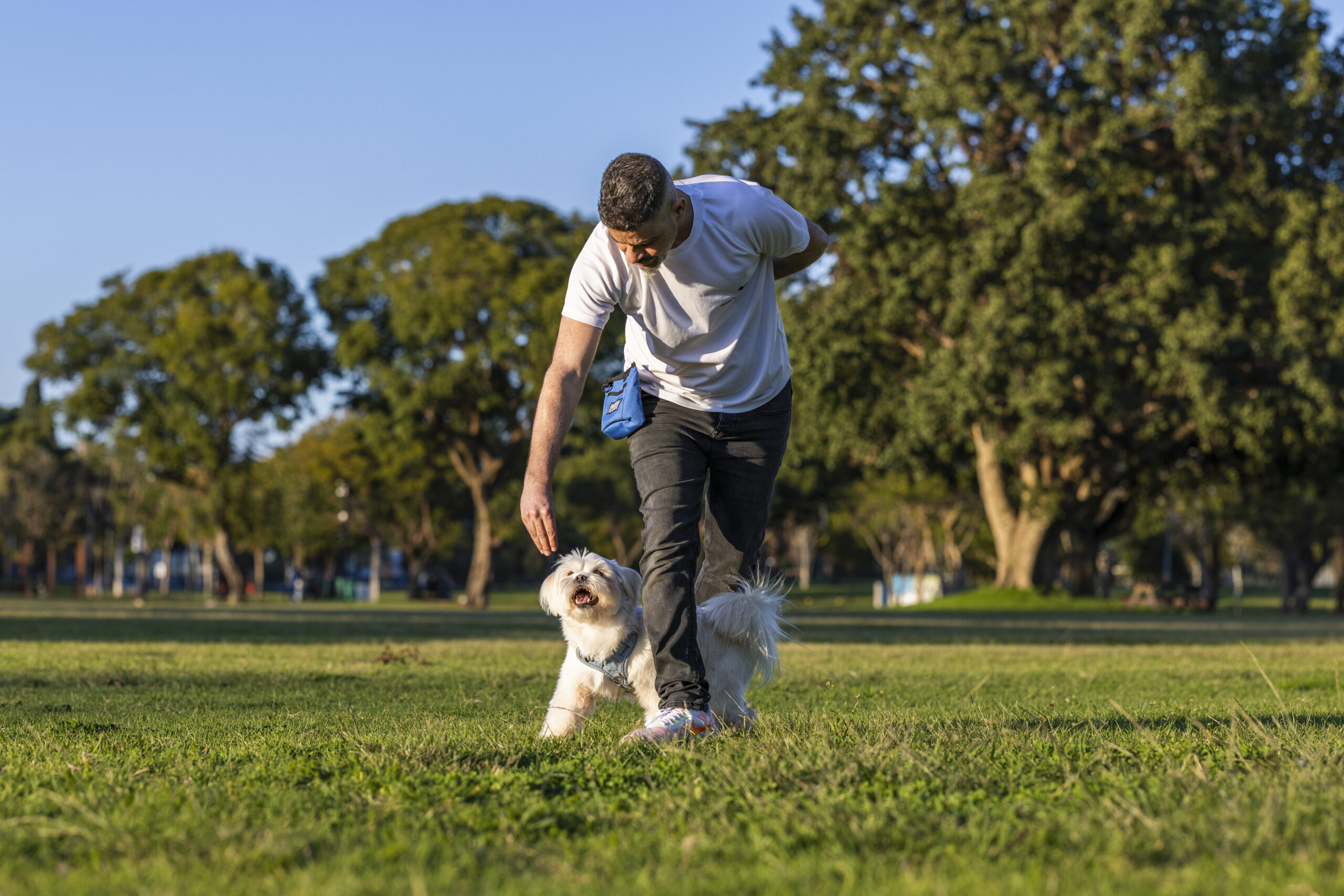 שימי אוחנה מדריך פריקת מתח